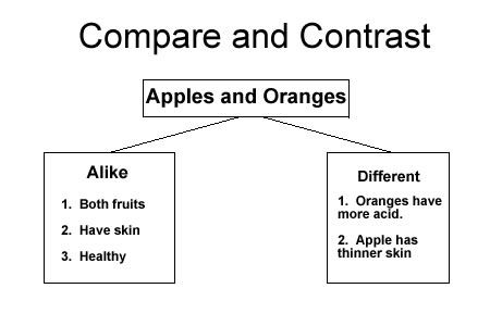 Structure of a compare and contrast essay