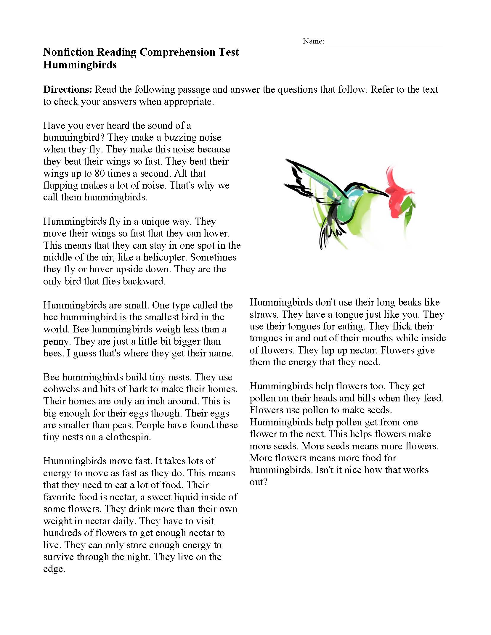 essay about hummingbird